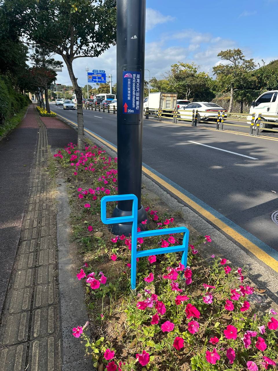 沿路引路的山羊