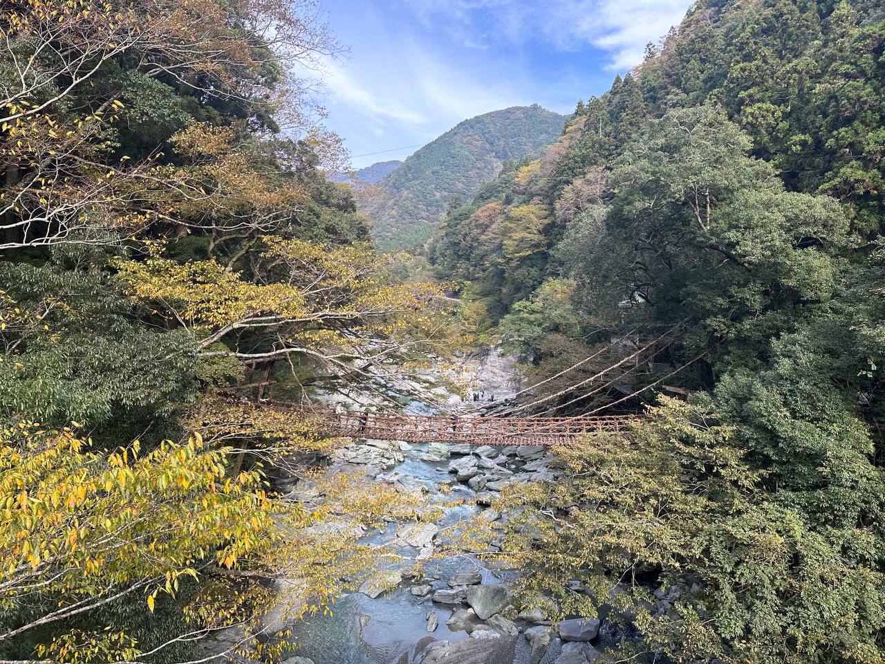 祖谷藤蔓橋