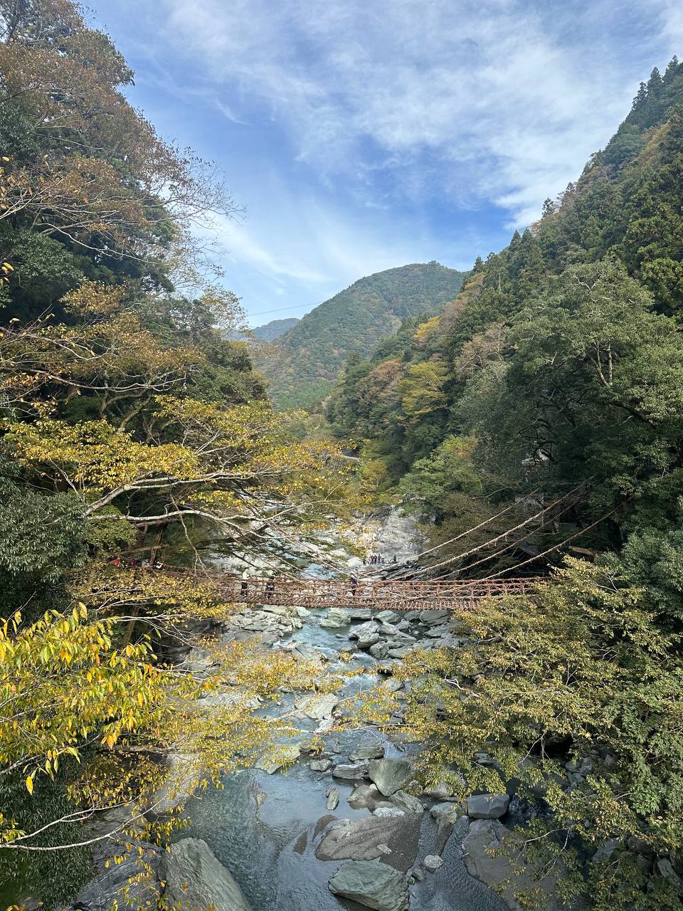 祖谷藤蔓橋