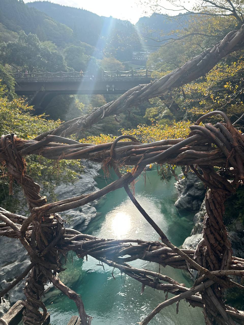 祖谷藤蔓橋上面
