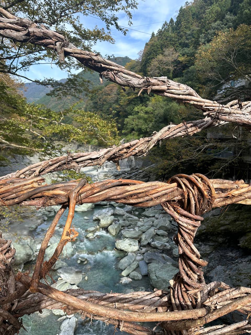 祖谷藤蔓橋上面