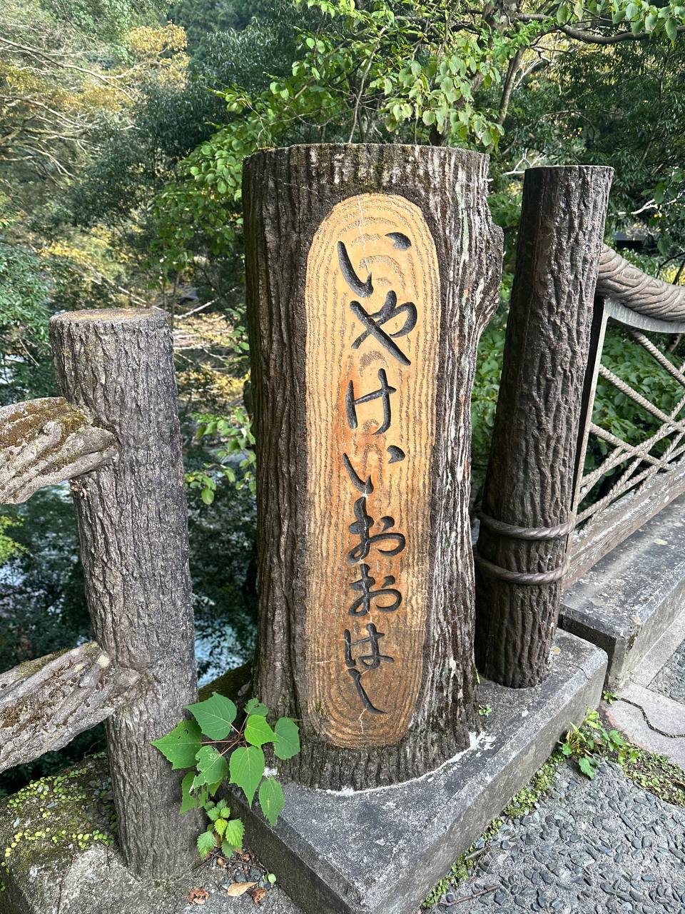 祖谷藤蔓橋入口