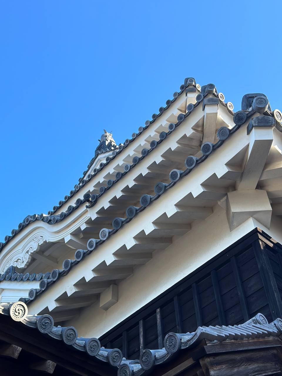 松山城天守閣徐影