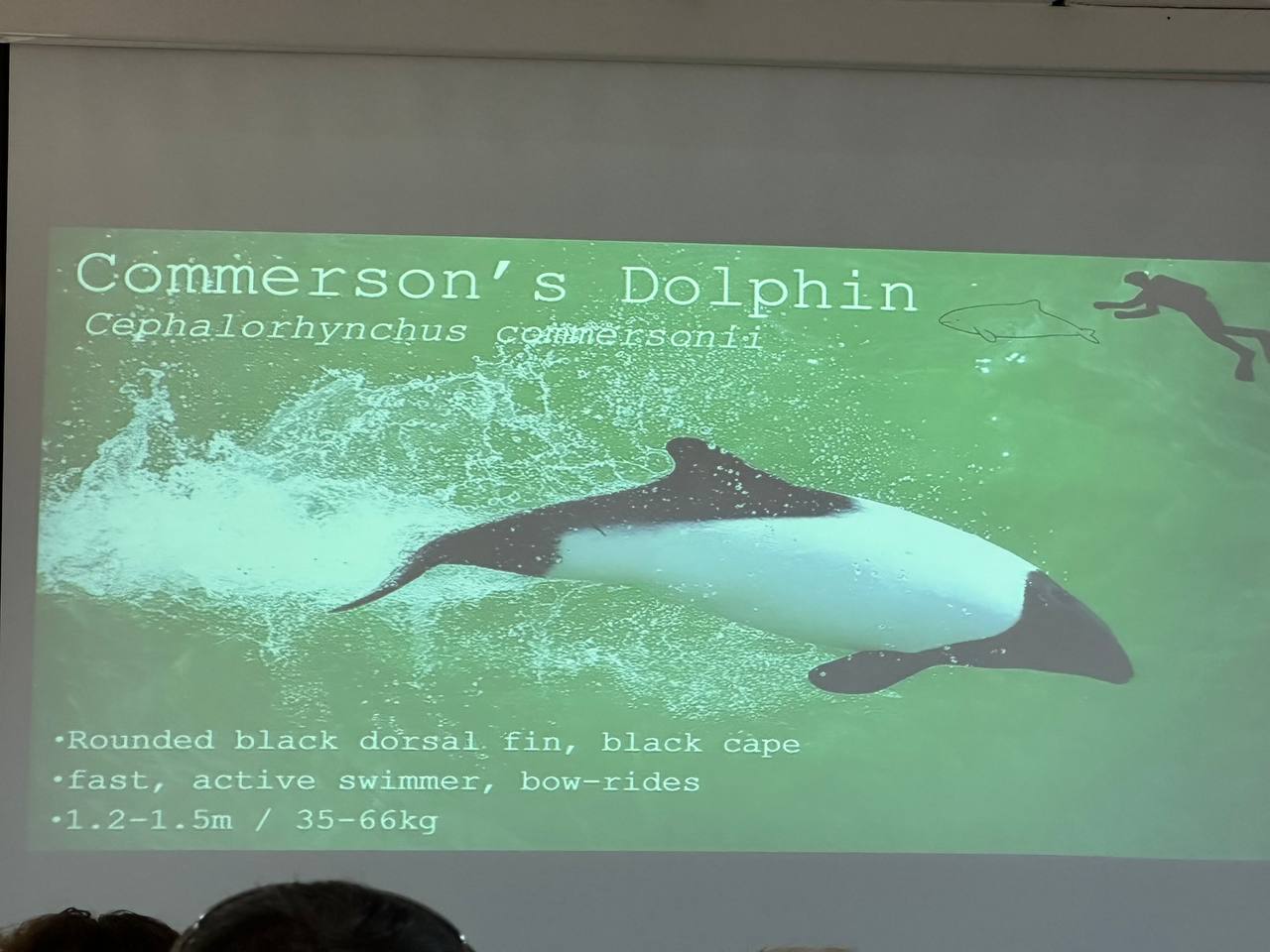 上堂