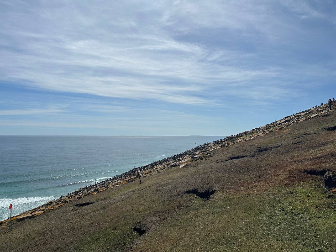saunder_island_hill_and_sea