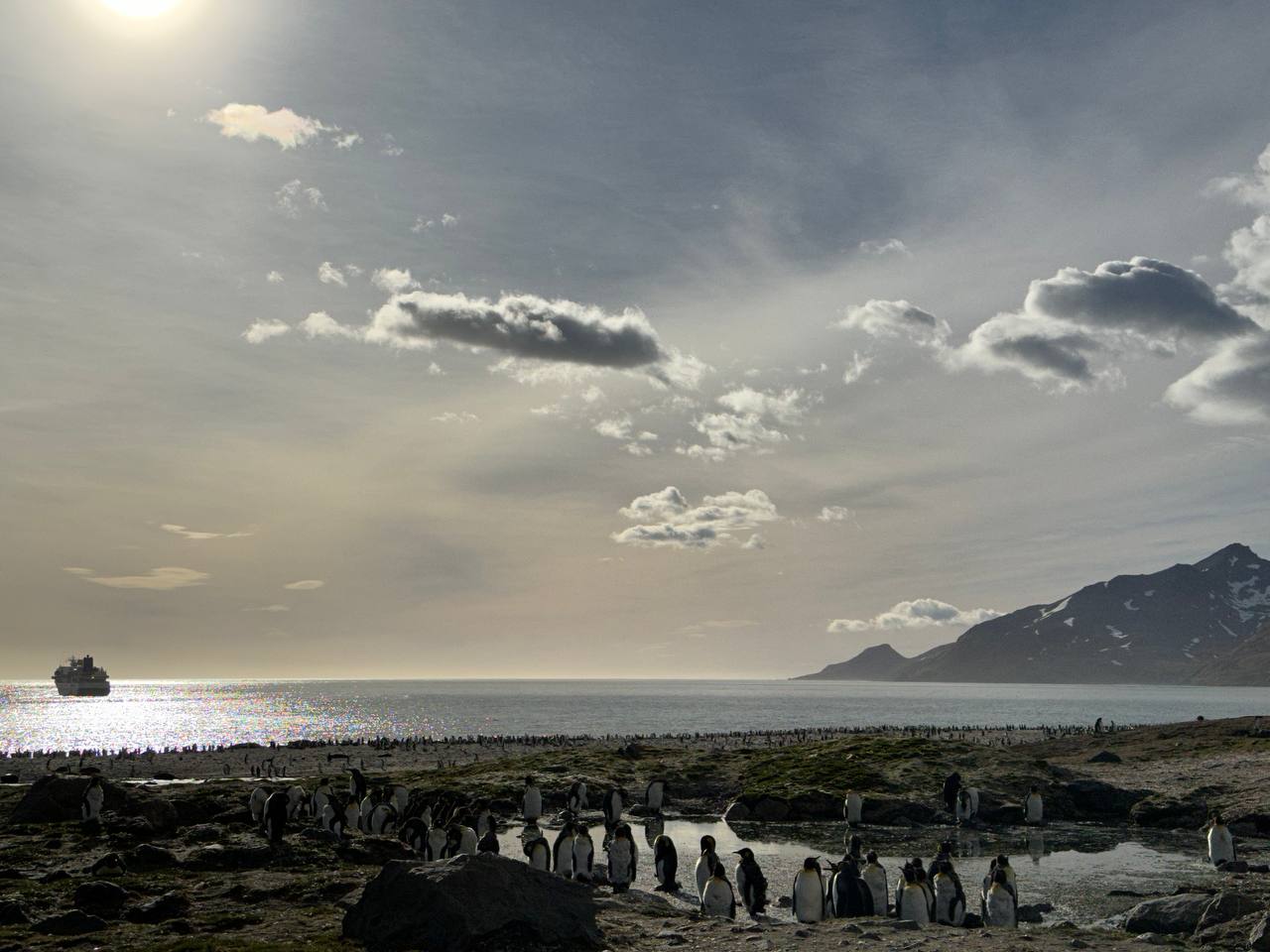 St. Andrew Bay 景觀