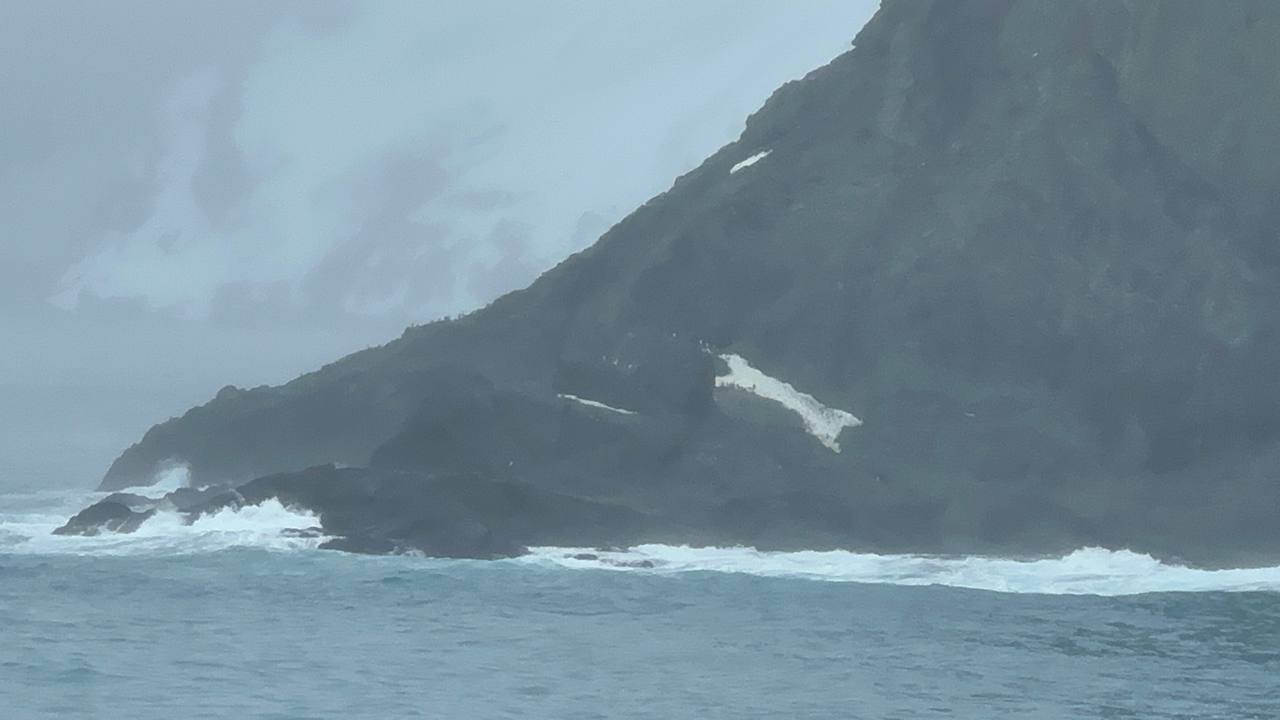 南極象島求生的地方