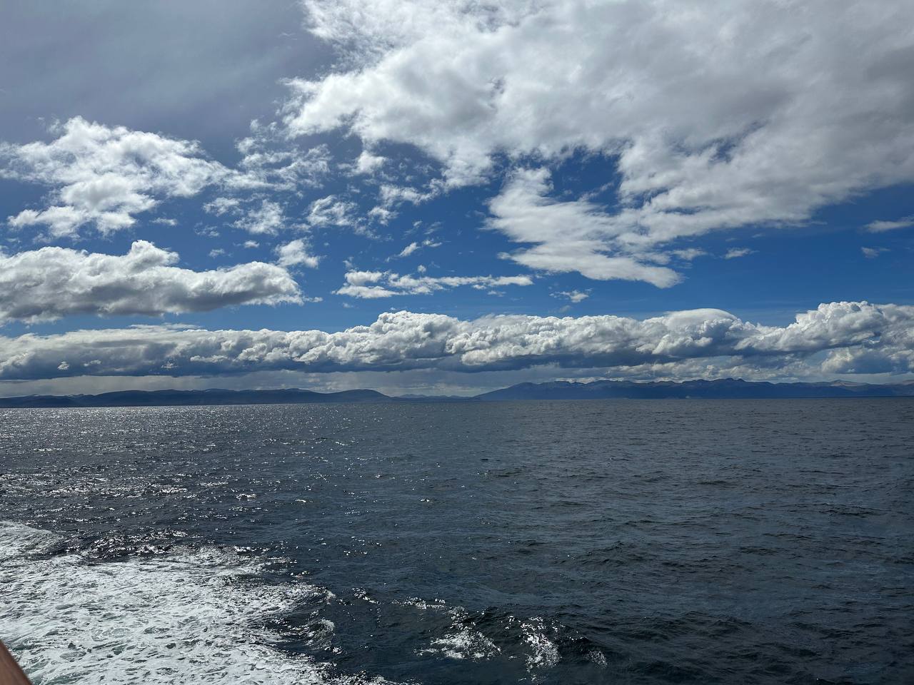回到阿根廷海岸