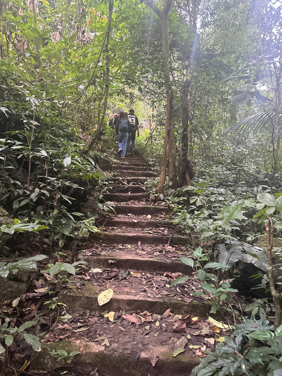 行山途中景色