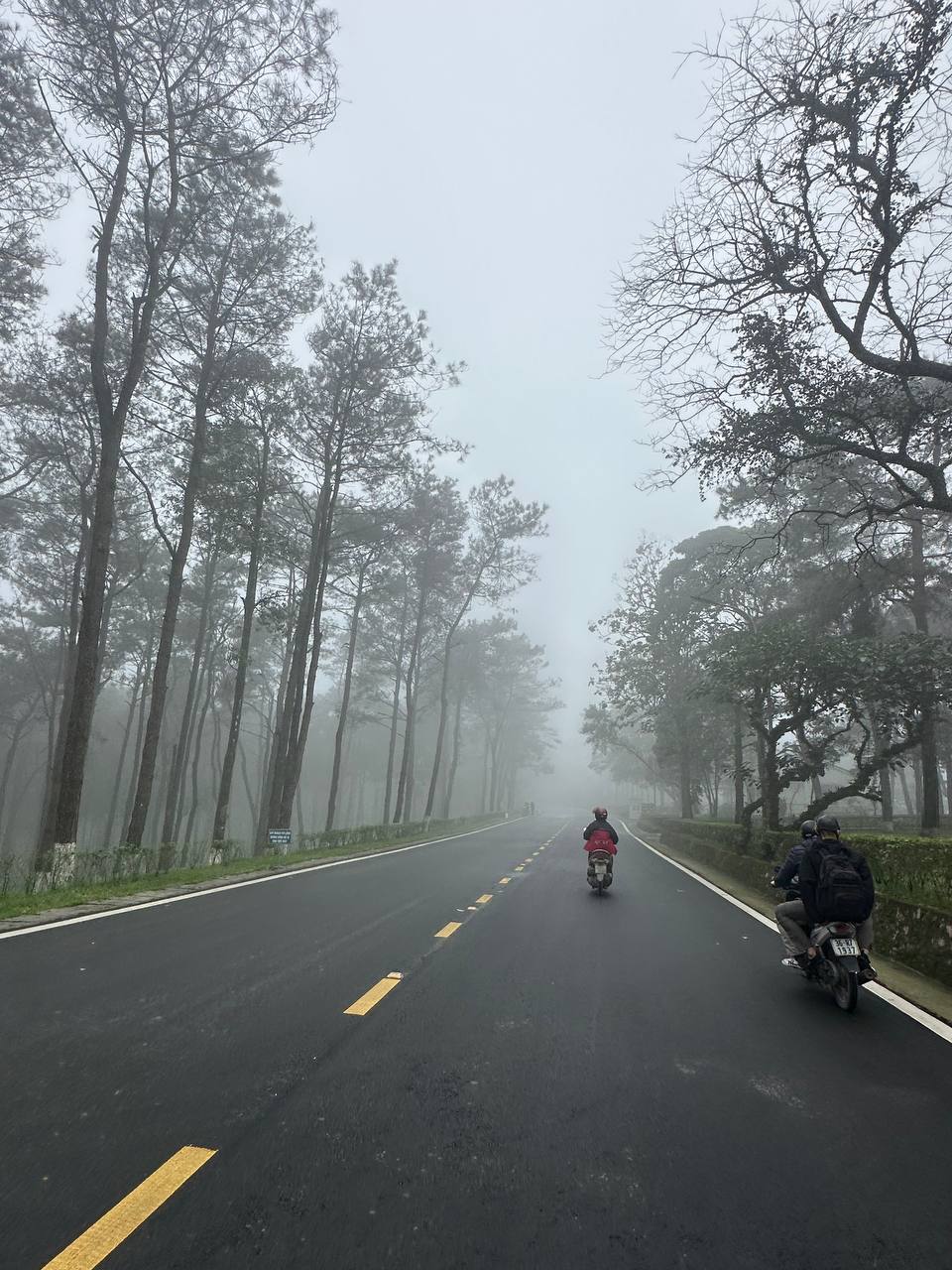 雲中上山