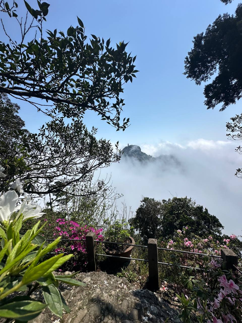 雲中的山頂