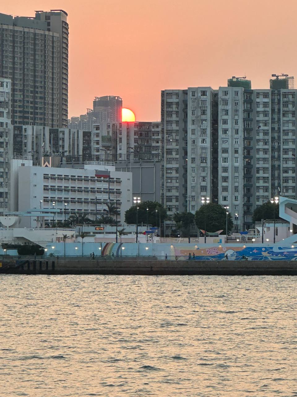 美麗的日落