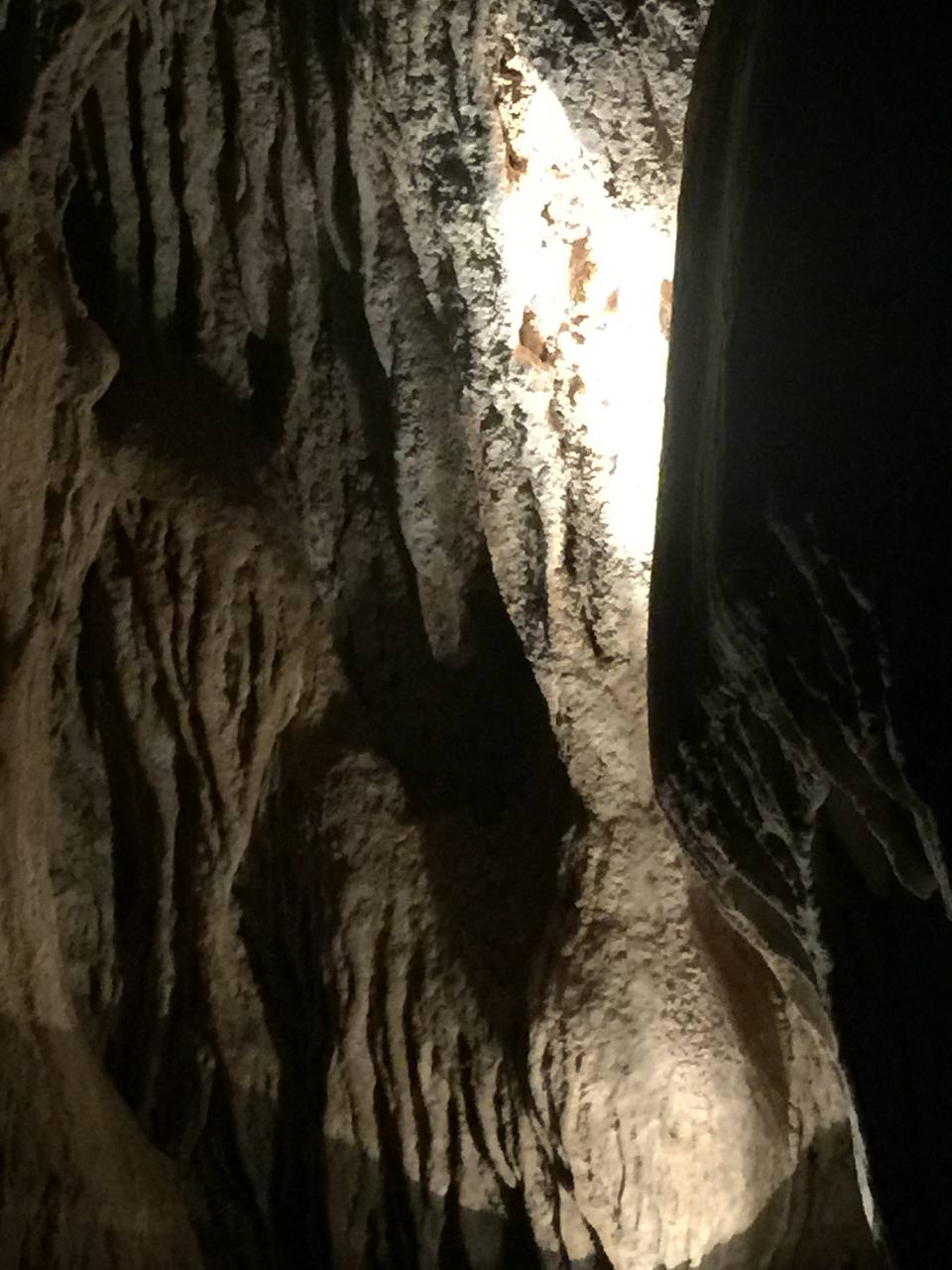 Honey Comb Cave