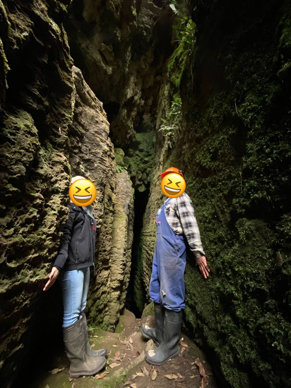 Honey Comb Cave