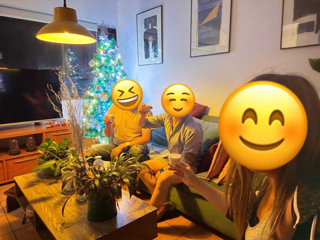 Airbnb Host