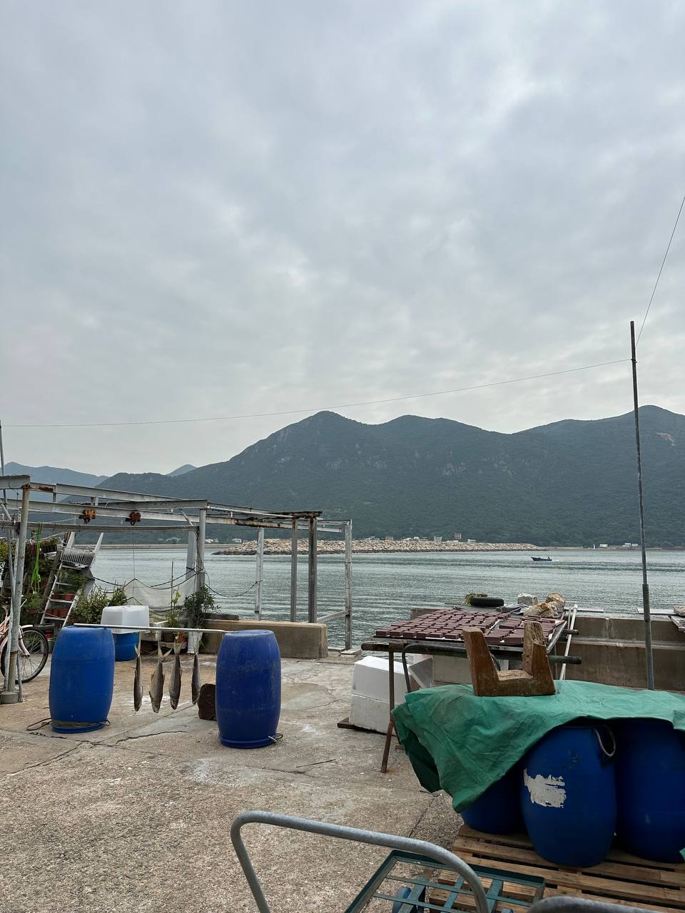 曬蝦膏